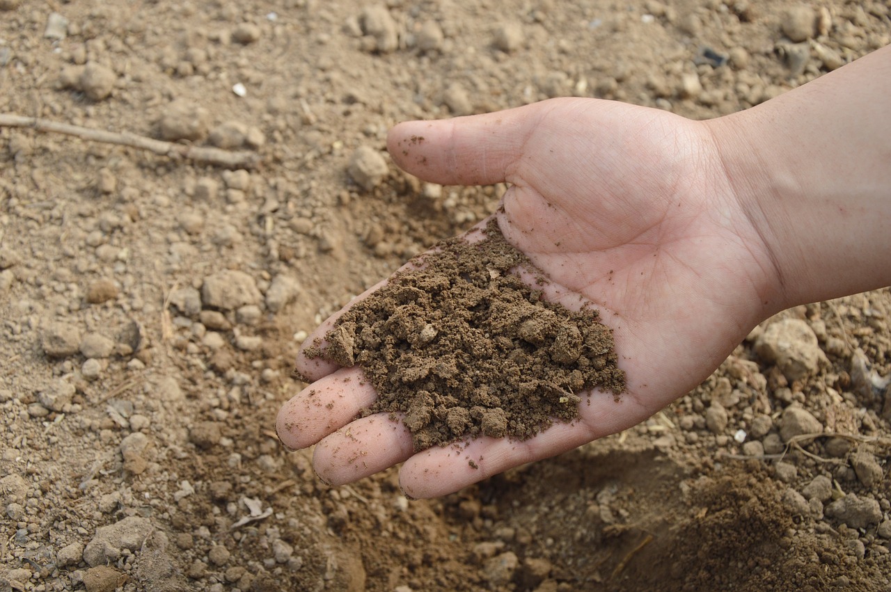 मिट्टी उर्वरक | जैव उर्वरक | इन्द्रधनुष जिप्सम | सबसे अच्छी खाद  | जैविक खाद  | एमडी बायोकोल
